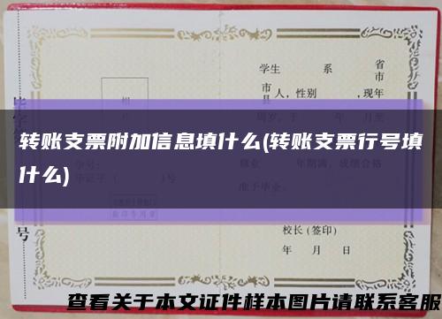 转账支票附加信息填什么(转账支票行号填什么)缩略图