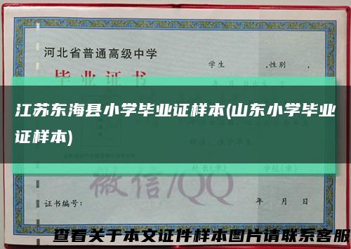 江苏东海县小学毕业证样本(山东小学毕业证样本)缩略图