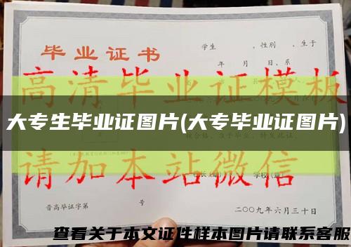 大专生毕业证图片(大专毕业证图片)缩略图