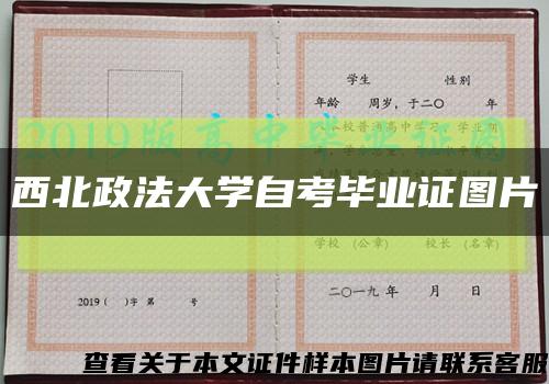 西北政法大学自考毕业证图片缩略图