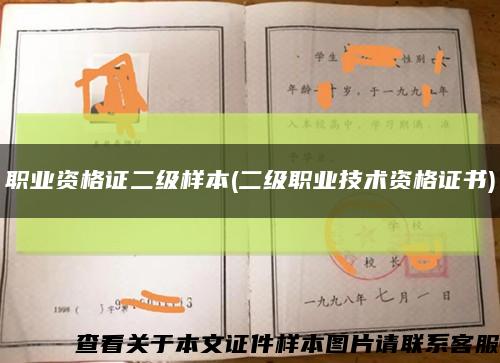 职业资格证二级样本(二级职业技术资格证书)缩略图
