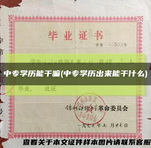中专学历能干嘛(中专学历出来能干什么)缩略图