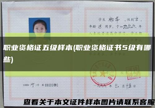 职业资格证五级样本(职业资格证书5级有哪些)缩略图