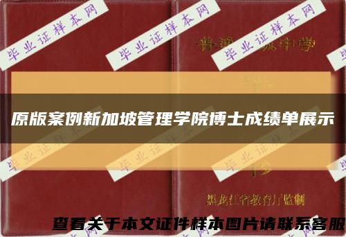 原版案例新加坡管理学院博士成绩单展示缩略图