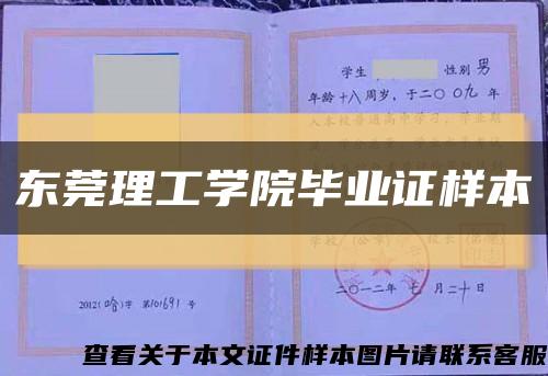东莞理工学院毕业证样本缩略图