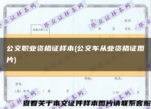 公交职业资格证样本(公交车从业资格证图片)缩略图
