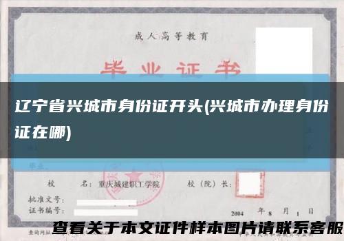 辽宁省兴城市身份证开头(兴城市办理身份证在哪)缩略图