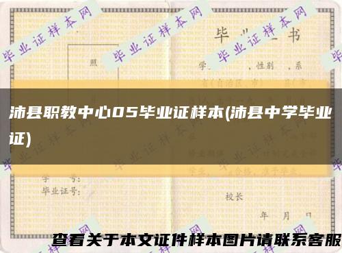沛县职教中心05毕业证样本(沛县中学毕业证)缩略图