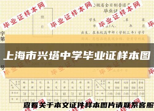 上海市兴塔中学毕业证样本图缩略图
