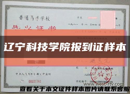 辽宁科技学院报到证样本缩略图