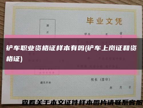 铲车职业资格证样本有吗(铲车上岗证和资格证)缩略图