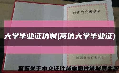 大学毕业证仿制(高仿大学毕业证)缩略图