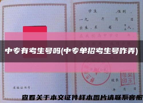 中专有考生号吗(中专单招考生号咋弄)缩略图