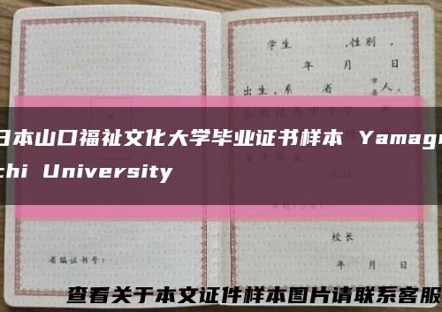 日本山口福祉文化大学毕业证书样本 Yamaguchi University缩略图
