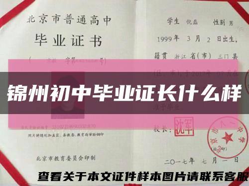 锦州初中毕业证长什么样缩略图