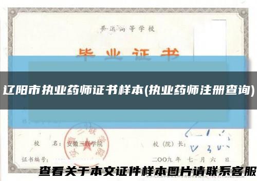 辽阳市执业药师证书样本(执业药师注册查询)缩略图