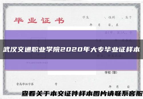 武汉交通职业学院2020年大专毕业证样本缩略图