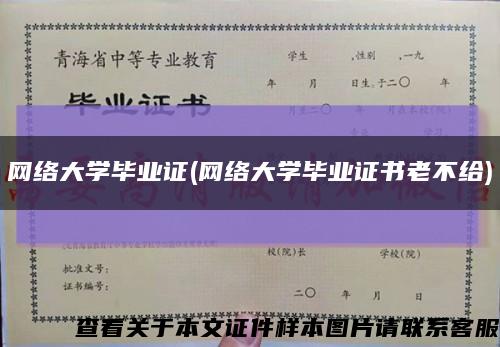 网络大学毕业证(网络大学毕业证书老不给)缩略图