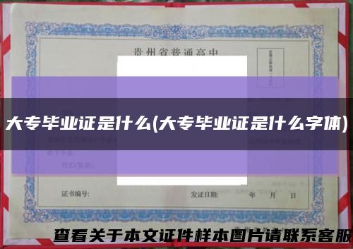 大专毕业证是什么(大专毕业证是什么字体)缩略图