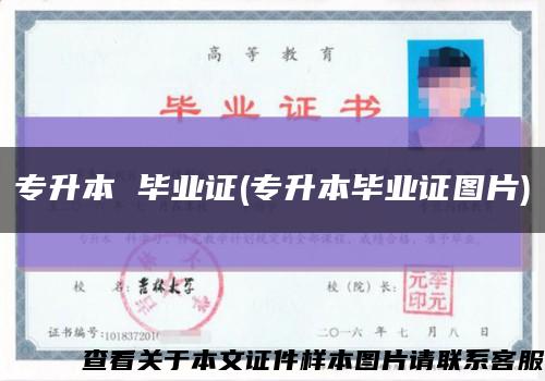 专升本 毕业证(专升本毕业证图片)缩略图