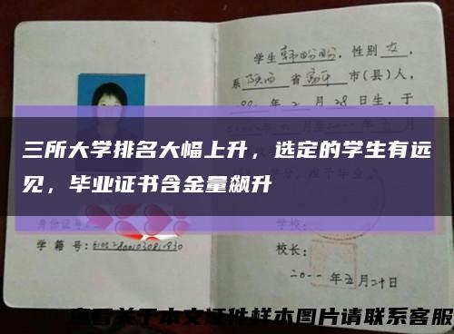 三所大学排名大幅上升，选定的学生有远见，毕业证书含金量飙升缩略图
