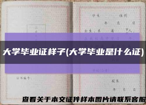 大学毕业证样子(大学毕业是什么证)缩略图