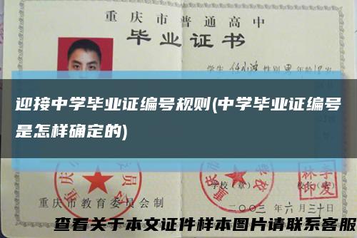 迎接中学毕业证编号规则(中学毕业证编号是怎样确定的)缩略图