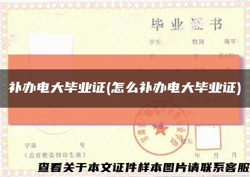 补办电大毕业证(怎么补办电大毕业证)缩略图