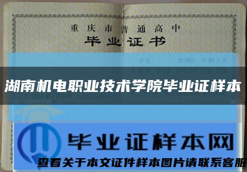 湖南机电职业技术学院毕业证样本缩略图