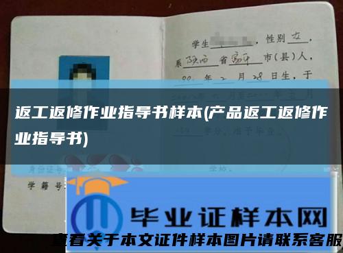 返工返修作业指导书样本(产品返工返修作业指导书)缩略图