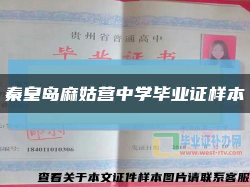 秦皇岛麻姑营中学毕业证样本缩略图