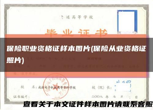 保险职业资格证样本图片(保险从业资格证照片)缩略图