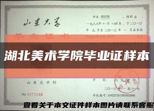 湖北美术学院毕业证样本缩略图