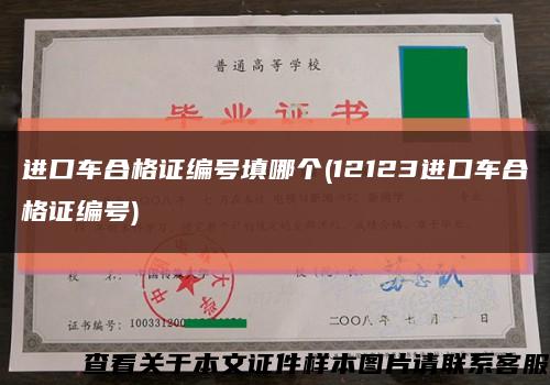 进口车合格证编号填哪个(12123进口车合格证编号)缩略图