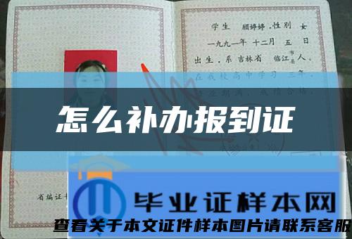 怎么补办报到证缩略图