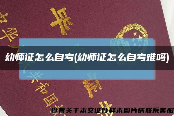 幼师证怎么自考(幼师证怎么自考难吗)缩略图