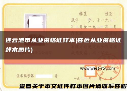 连云港市从业资格证样本(客运从业资格证样本图片)缩略图