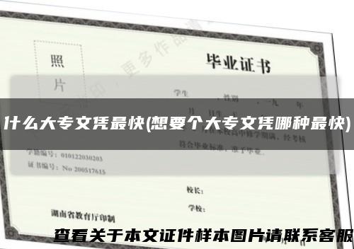 什么大专文凭最快(想要个大专文凭哪种最快)缩略图