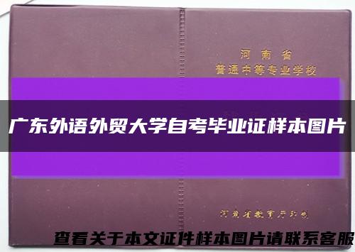 广东外语外贸大学自考毕业证样本图片缩略图