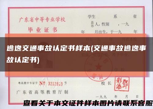 逃逸交通事故认定书样本(交通事故逃逸事故认定书)缩略图