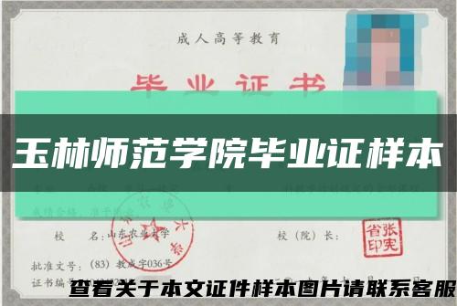 玉林师范学院毕业证样本缩略图