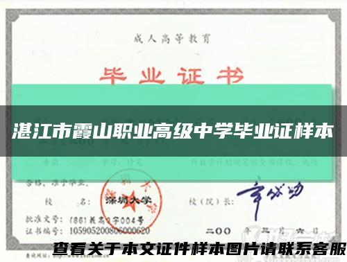 湛江市霞山职业高级中学毕业证样本缩略图