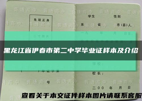 黑龙江省伊春市第二中学毕业证样本及介绍缩略图