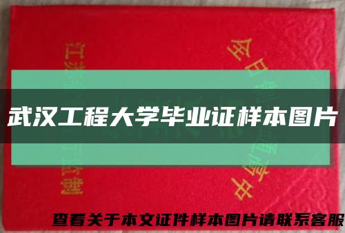 武汉工程大学毕业证样本图片缩略图