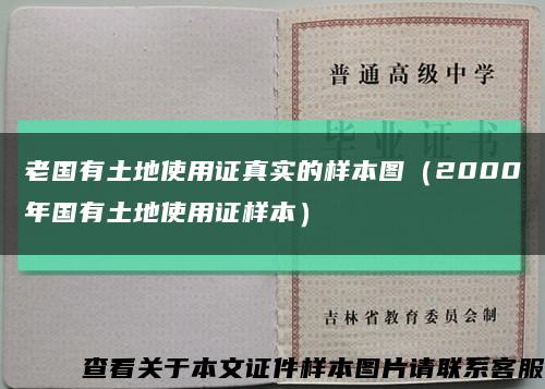 老国有土地使用证真实的样本图（2000年国有土地使用证样本）缩略图