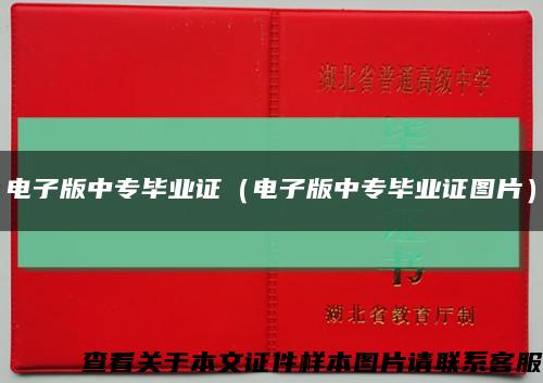 电子版中专毕业证（电子版中专毕业证图片）缩略图
