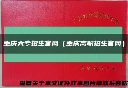 重庆大专招生官网（重庆高职招生官网）缩略图