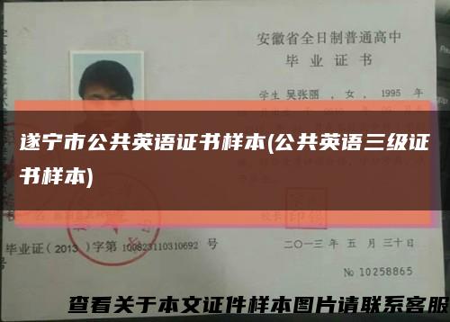 遂宁市公共英语证书样本(公共英语三级证书样本)缩略图