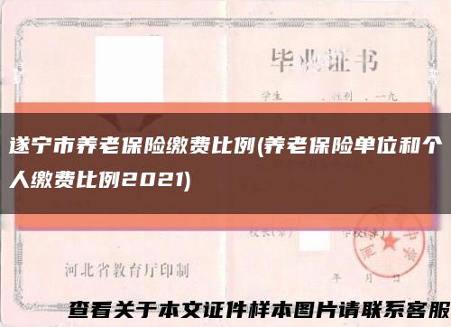 遂宁市养老保险缴费比例(养老保险单位和个人缴费比例2021)缩略图