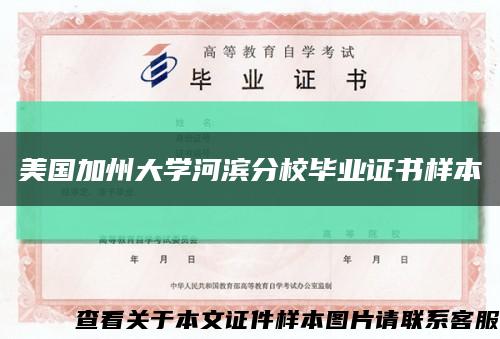 美国加州大学河滨分校毕业证书样本缩略图